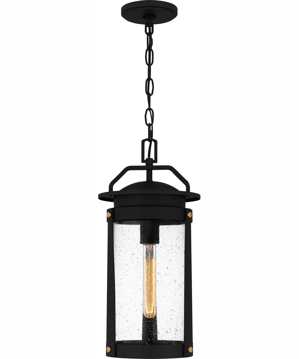Clifton Large 1-light Outdoor Pendant Light  Coastal Armour Aluminum Earth Black