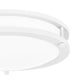 Euclid  Semi Flush Mount White Lustre