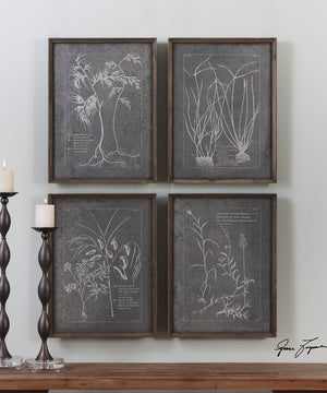 24"H x 18"W Root Study Print Art Set of 4