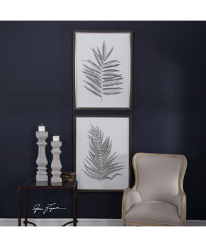 Silver Ferns Framed Prints Set of 2