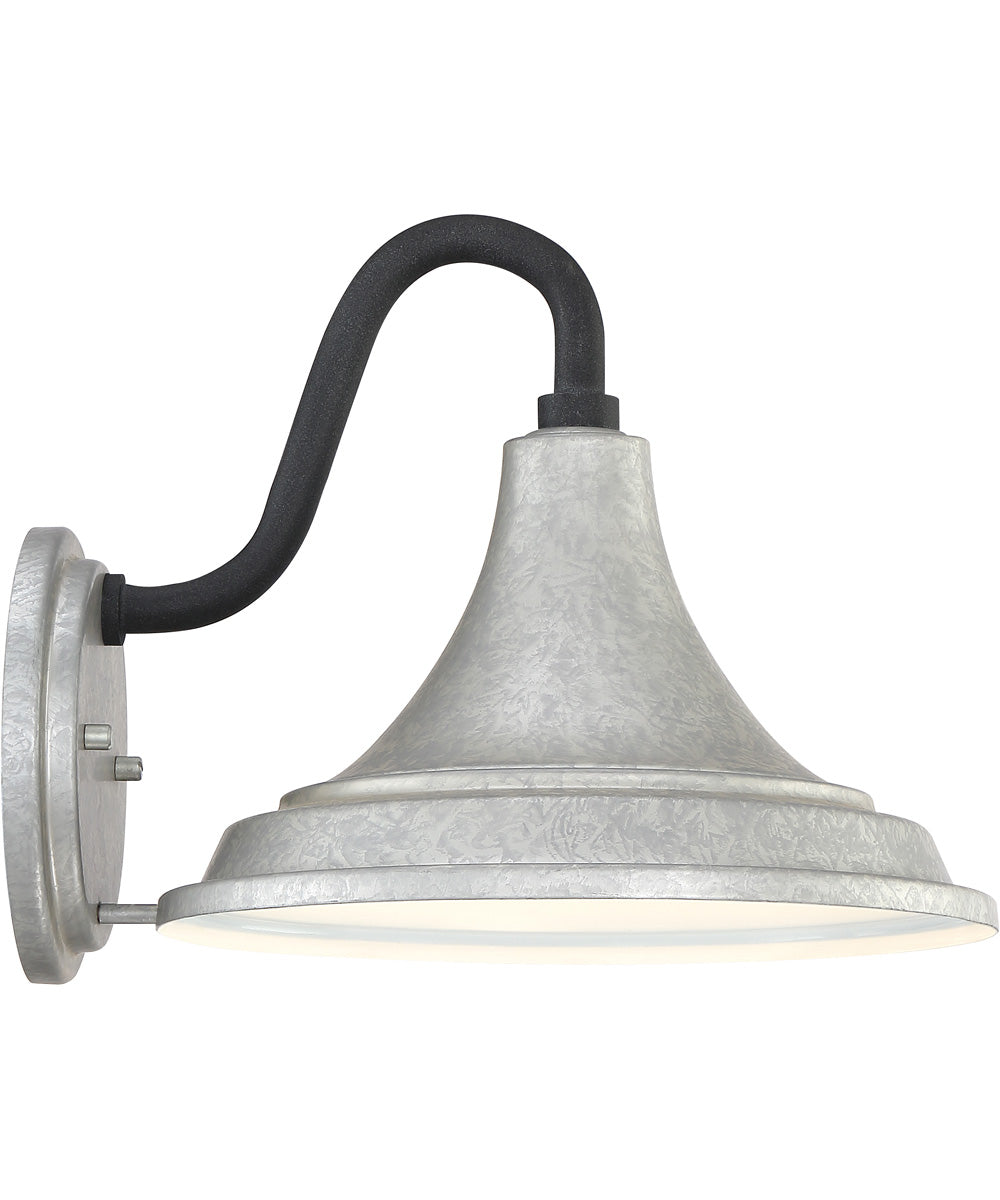 Oceanfront Medium 1-light Outdoor Wall Light Galvanized