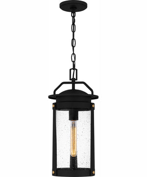 Clifton Large 1-light Outdoor Pendant Light  Coastal Armour Aluminum Earth Black