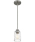 Acacia Small 1-light Mini Pendant Brushed Nickel