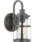 Haslett 1-Light Small Wall Lantern Antique Pewter