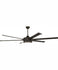 Large Ceiling Fans