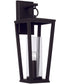 Elliott 1-Light Outdoor Wall-Lantern Rain or Shine - Black