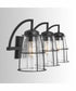 Sapelo 3-Light Vanity Bronze