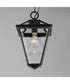 Prism 16 inch Outdoor Pendant Black