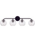 Dolan 4-Light Vanity Matte Black