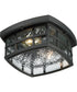 Stonington Medium 2-light Outdoor Ceiling Light Mystic Black