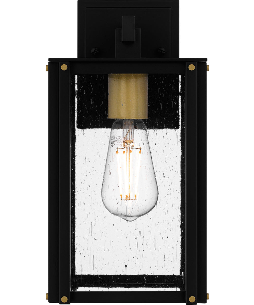 Robbins Small 1-light Outdoor Wall Light  Coastal Armour Aluminum Matte Black