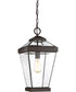 Ravine Small 1-light Mini Pendant Western Bronze
