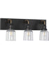 Rushton 3-Light Clear Glass Farmhouse Bath Vanity Light Graphite