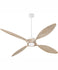 Ceiling Fans with Remotes