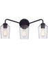 Shayna 3-Light Vanity Flat Black