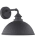 Englewood 1-Light Medium Wall Lantern Textured Black