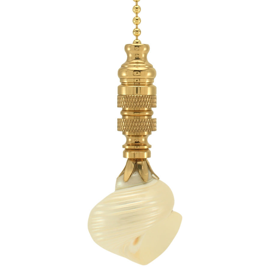 Silver Mouth Sea Shell Ceiling Fan Pull, 3"h with 12" Polished Brass Chain