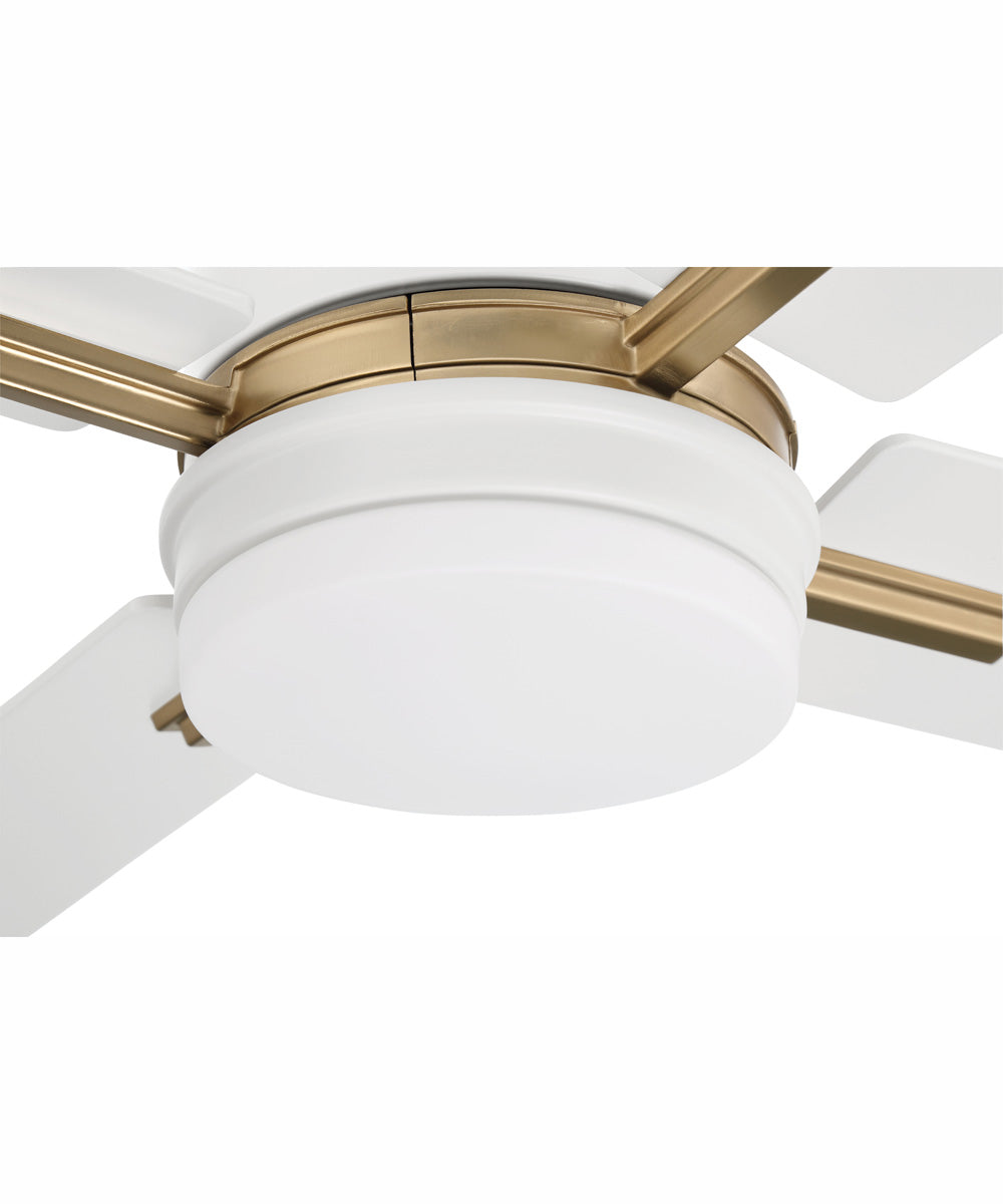 52" Teana 1-Light Ceiling Fan White/Satin Brass