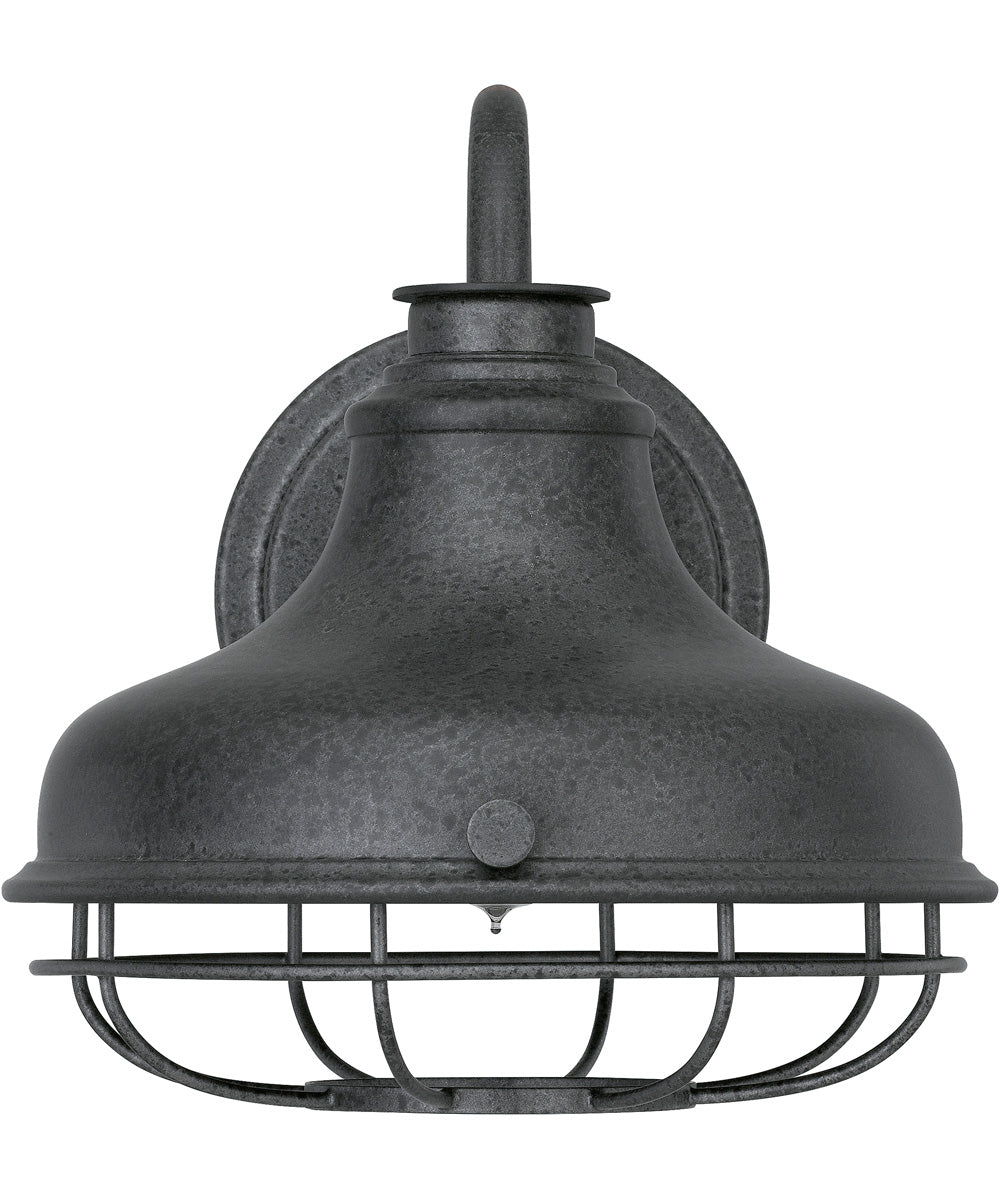 Saluda Large 1-light Outdoor Wall Light Distressed Iron