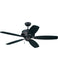 Ceiling Fans and Accessories
