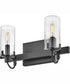 Ryden 2-Light Two Light Vanity in Black