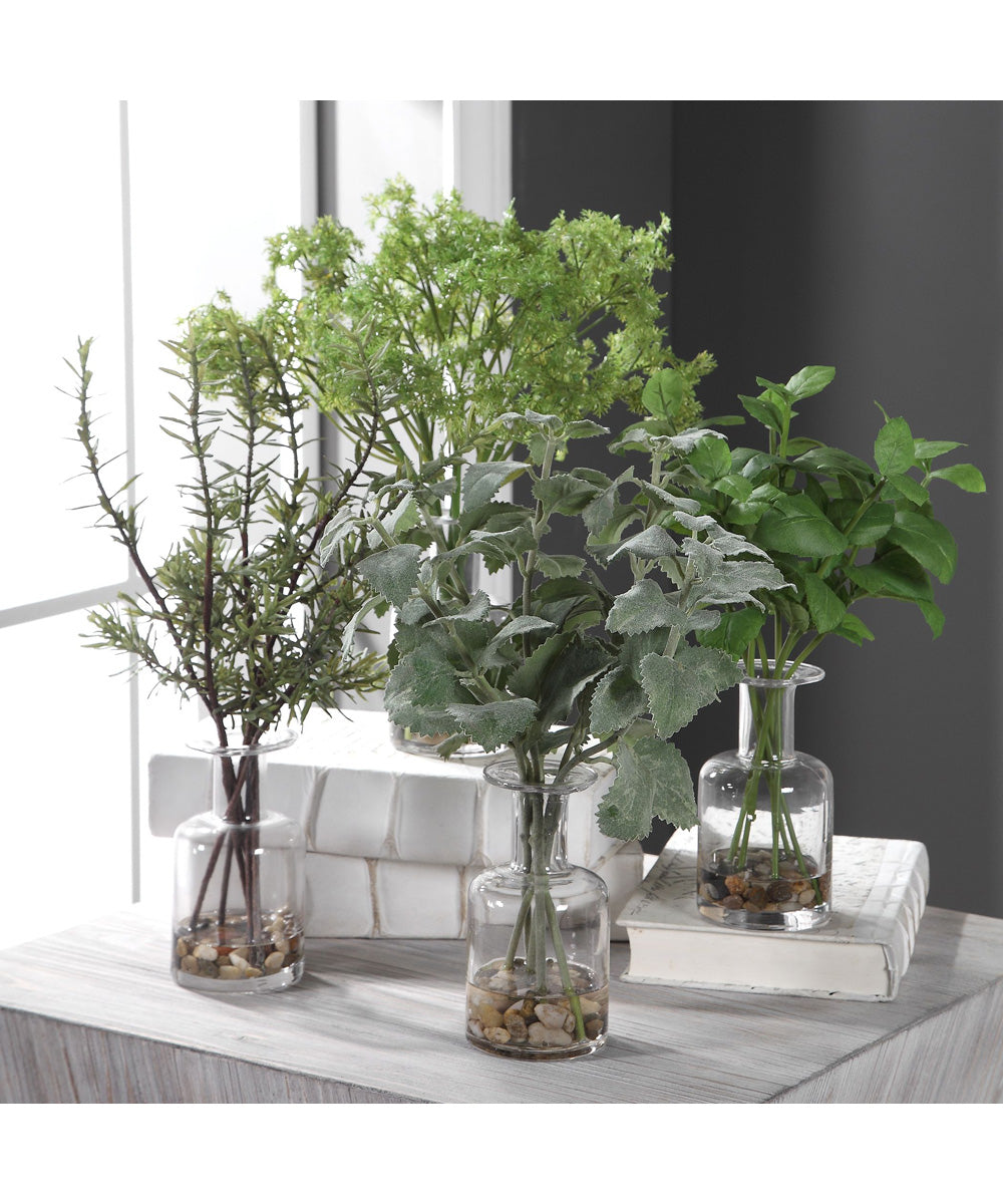 Ceci Kitchen Herbs, Set of 4