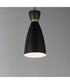 Carillon 1-Light Elongated Mini Pendant Black / Satin Brass