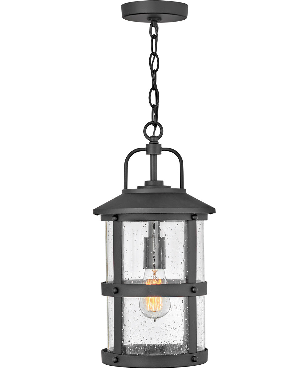 Lakehouse 1-Light Medium Outdoor Hanging Lantern 12v in Black