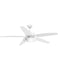 Ceiling Fans and Accessories