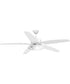 Montague 60" Indoor/Outdoor 5-Blade Ceiling Fan White