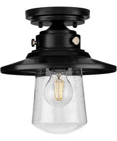 Tremont 1-Light Clear Seeded Glass Farmhouse Style Ceiling Light Matte Black