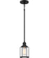 Ludlow Small 1-light Mini Pendant Earth Black