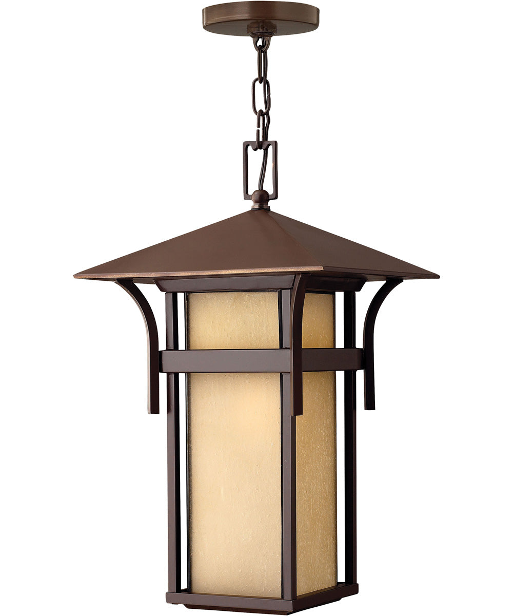 Harbor 1-Light Large Outdoor Hanging Lantern 12v in Anchor Bronze