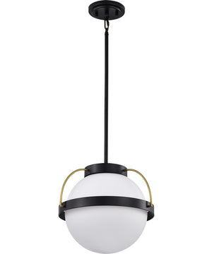 Lakeshore 1-Light Pendant Matte Black