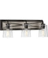 Briarwood 3-Light Clear Glass Coastal Bath Vanity Light Graphite