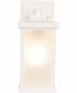 Resilience Lanterns 1-Light Outdoor Wall Lantern Matte White