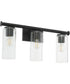 Tamara Day's Mercier 3-light Bath Vanity Light Matte Black