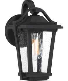 Darius Small 1-light Outdoor Wall Light  Coastal Armour Earth Black