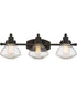 Scholar Large 3-light Bath Light Palladian Bronze