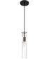5"W Spyglass 1-Light Pendant Black