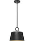 Parkhurst 1-Light New Traditional Metal Pendant Light Matte Black