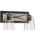 Briarwood 2-Light Clear Glass Coastal Bath Vanity Light Graphite