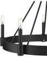Breckenridge 8-Light Rustic Farmhouse Chandelier Matte Black