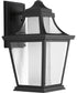 Endorse 1-Light Medium Wall Lantern Textured Black