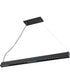 Irene 2-Light Led Pendant Black