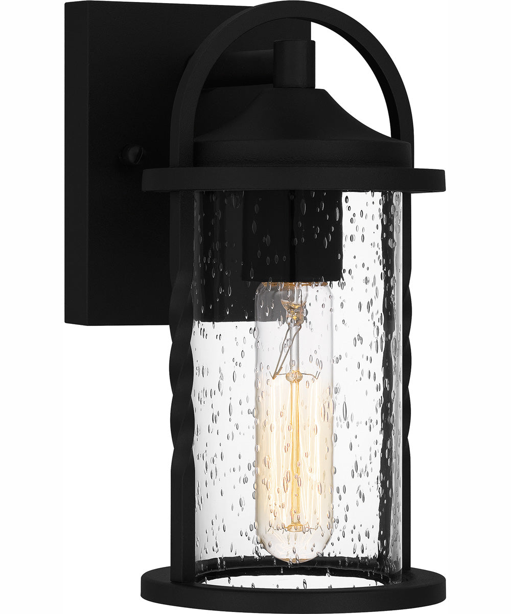 Reece Small 1-light Outdoor Wall Light  Coastal Armour Aluminum Earth Black