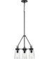 Stockbrace 3-Light Clear Glass Farmhouse Style Chandelier Light Matte Black