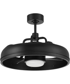 Taylor 24" 1-Light Ceiling Fan (Blades Included) Flat Black