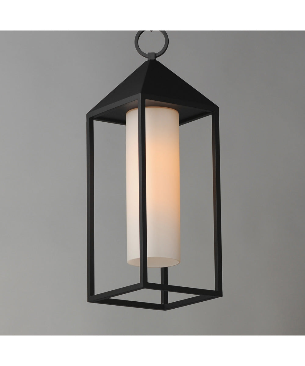 Aldous 1-Light Outdoor Pendant Black