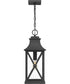 Ellerbee Large 1-light Outdoor Pendant Light  Coastal Armour Aluminum Mottled Black